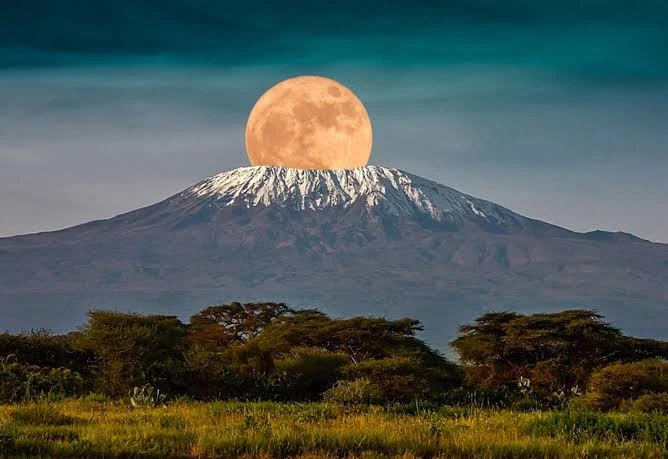 Mount Kilimanjaro National Park - Tanzania Safari Destination